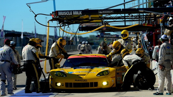 2013-Bane-ALMS-Magnussen-Jan-16